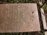 image of grave number 502677